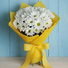 Букет цветов из:  Хризантемы в Горькой Балке