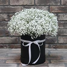 Цветочная композиция из Гипсофила в шляпной коробке в Горькой Балке