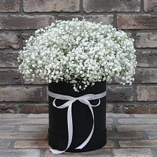 Цветочная композиция из Гипсофила в шляпной коробке в Горькой Балке