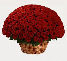 Премиум букет из: Розы в Горькой Балке